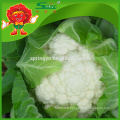 Chou-fleur de qualité supérieure sans résidus Brocolis blanc frais